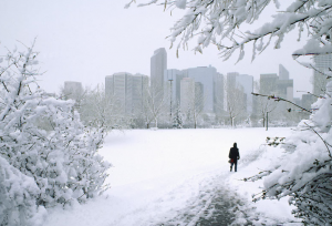 Calgary Spring??