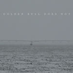 Black Golden Bull