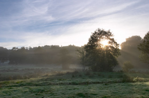 France by morning