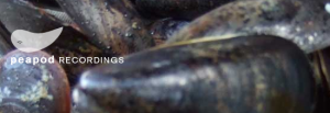 Peapod Recordings Banner