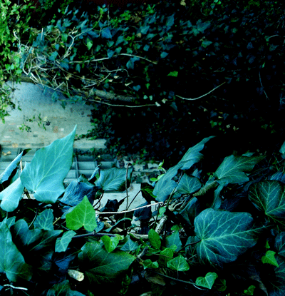 Post Thumbnail of New Fredrik Video "Vinterbarn"