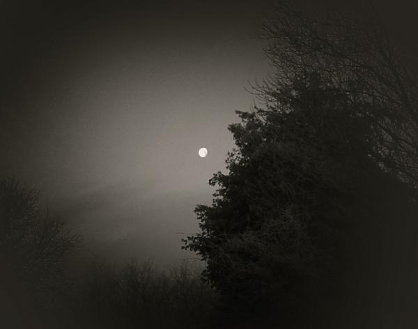 Moon in B&W by Serena Matthews