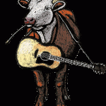 CFF Cow Transparent