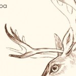 Wilderness of Manitoba banner
