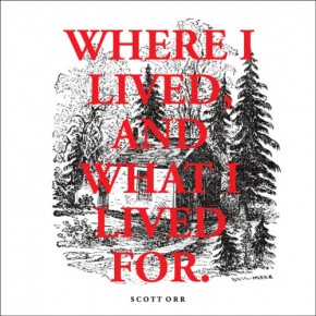 Scott Orr Cover