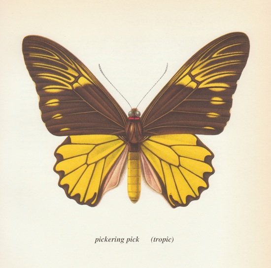 Pickering Pick - Tropic Album Cover