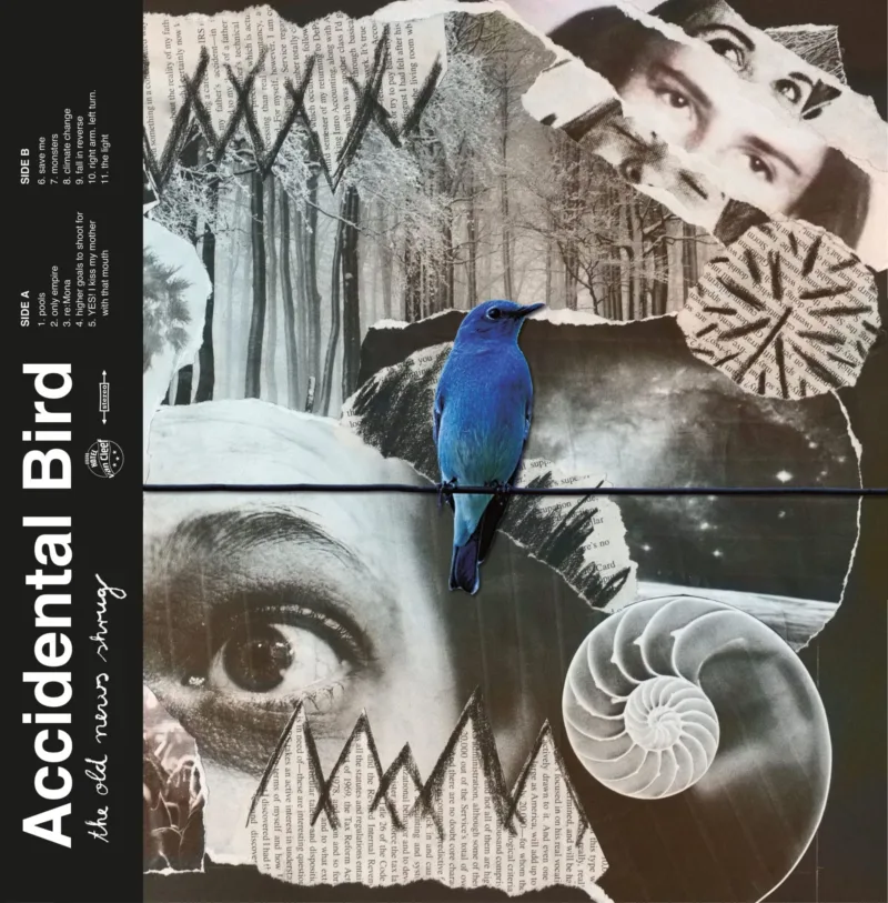 Upcoming album alert: Accidental Bird’s “The Old News Shrug”